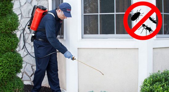 Boğazlıyan Böcek İlaçlama böcek ilaçlama ve haşere kontrolü — ilaclama-tr.com